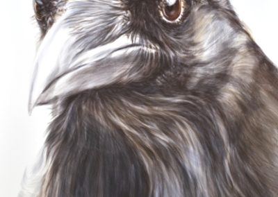 Lea Achermann, Krähe, 99 x 150 cm; Aquarell auf Siebdruckkarton